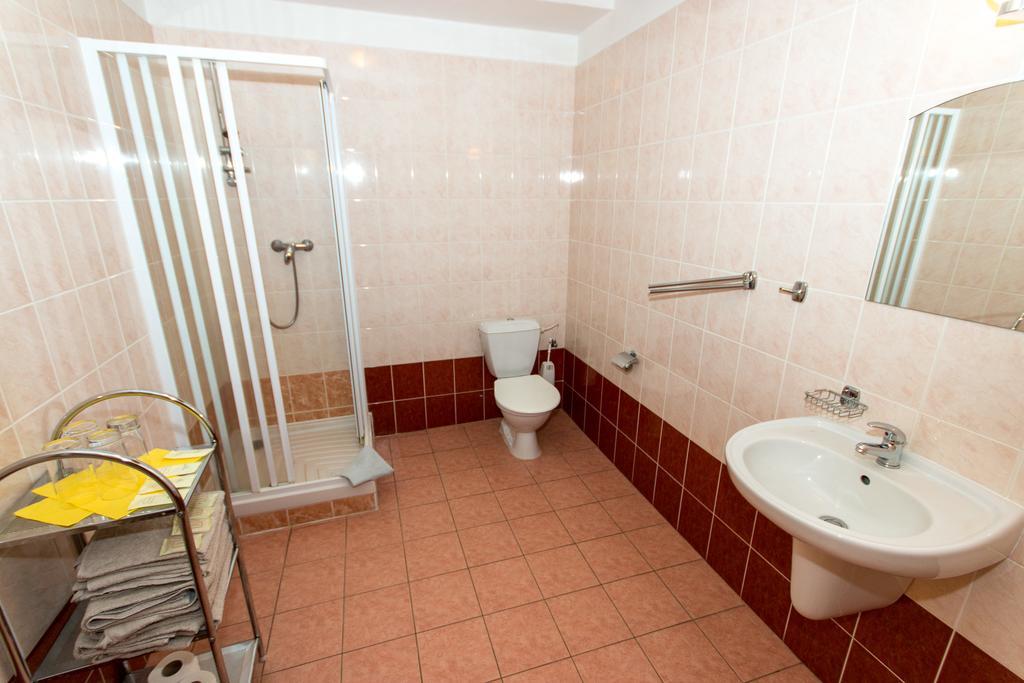 Pension U Kohoutu Horní Planá 部屋 写真
